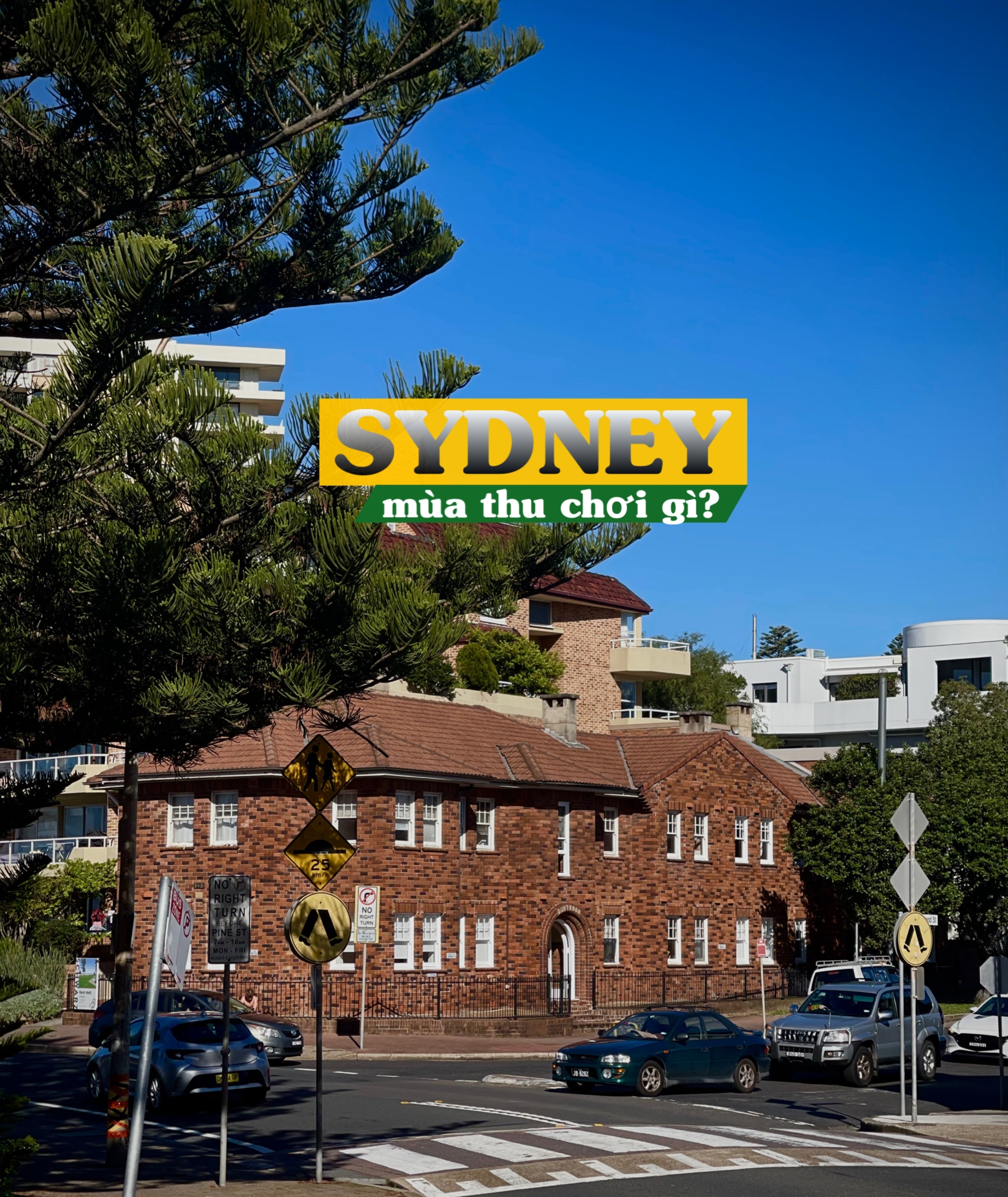 DU LỊCH SYDNEY MÙA THU CÓ GÌ ? - NGƯỜI YÊU ÚC