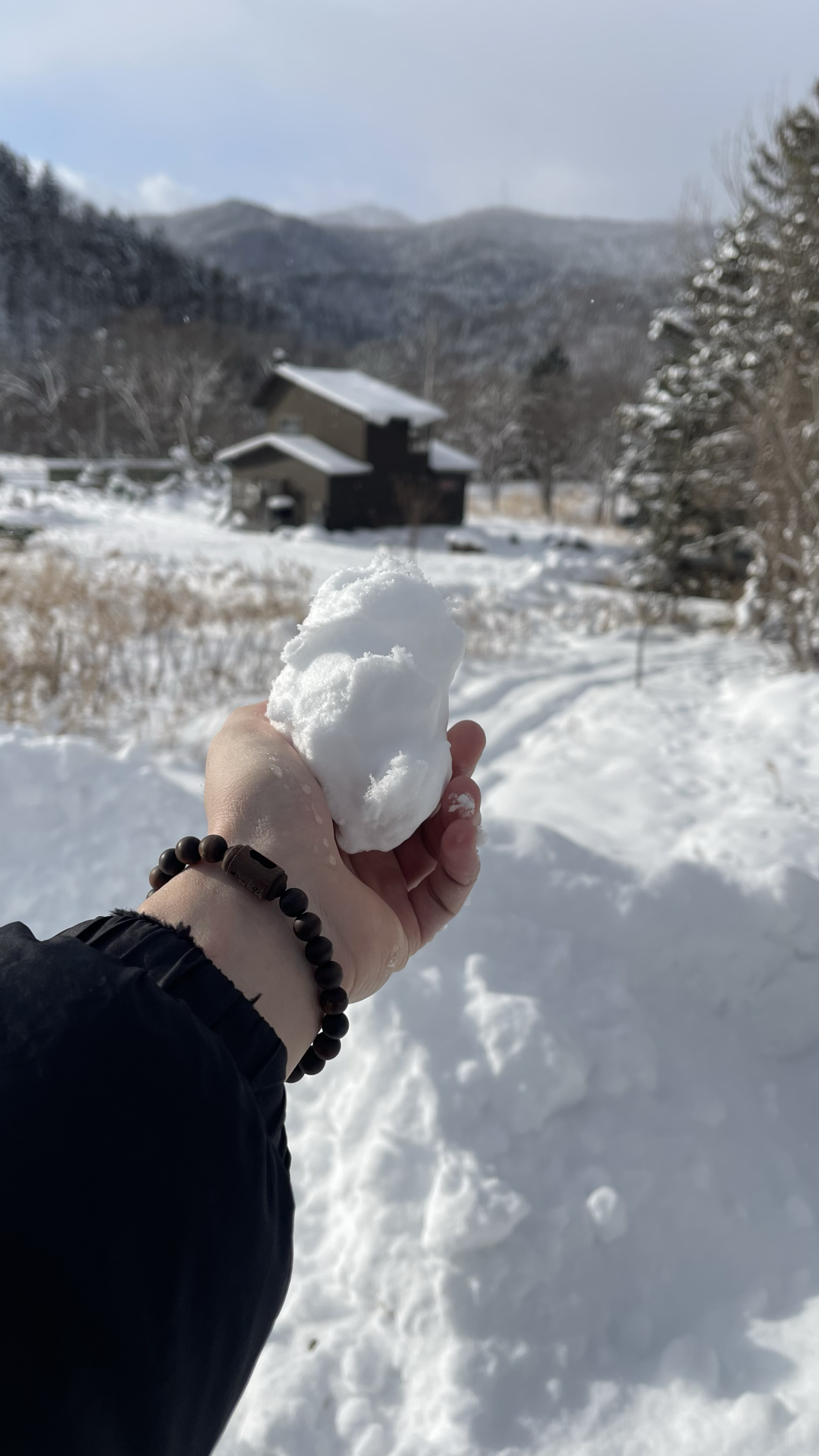 Kinh nghiem du lich Hokkaido tu tuc 2025
