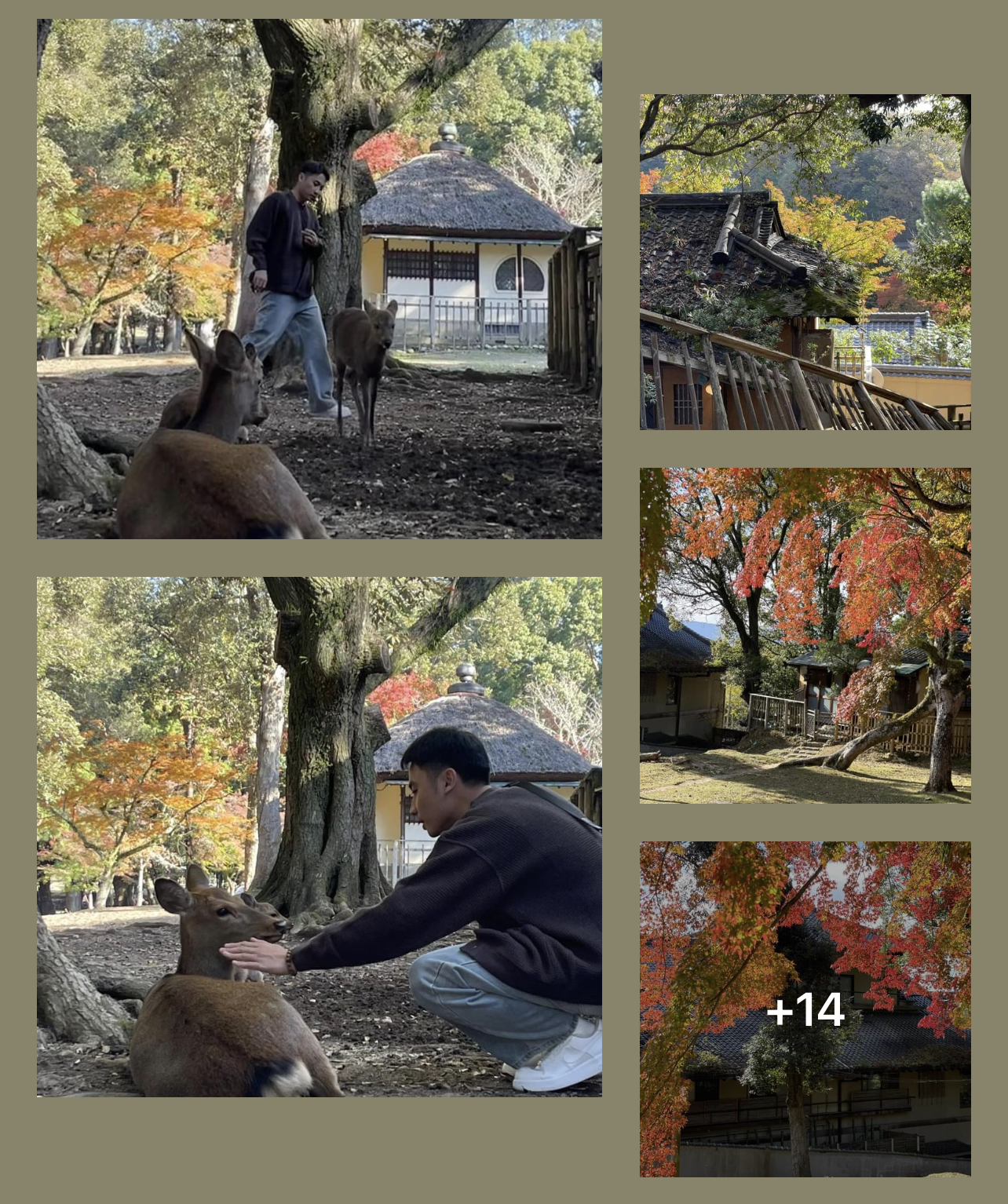 Cố vấn du lịch Quốc tế Syhun