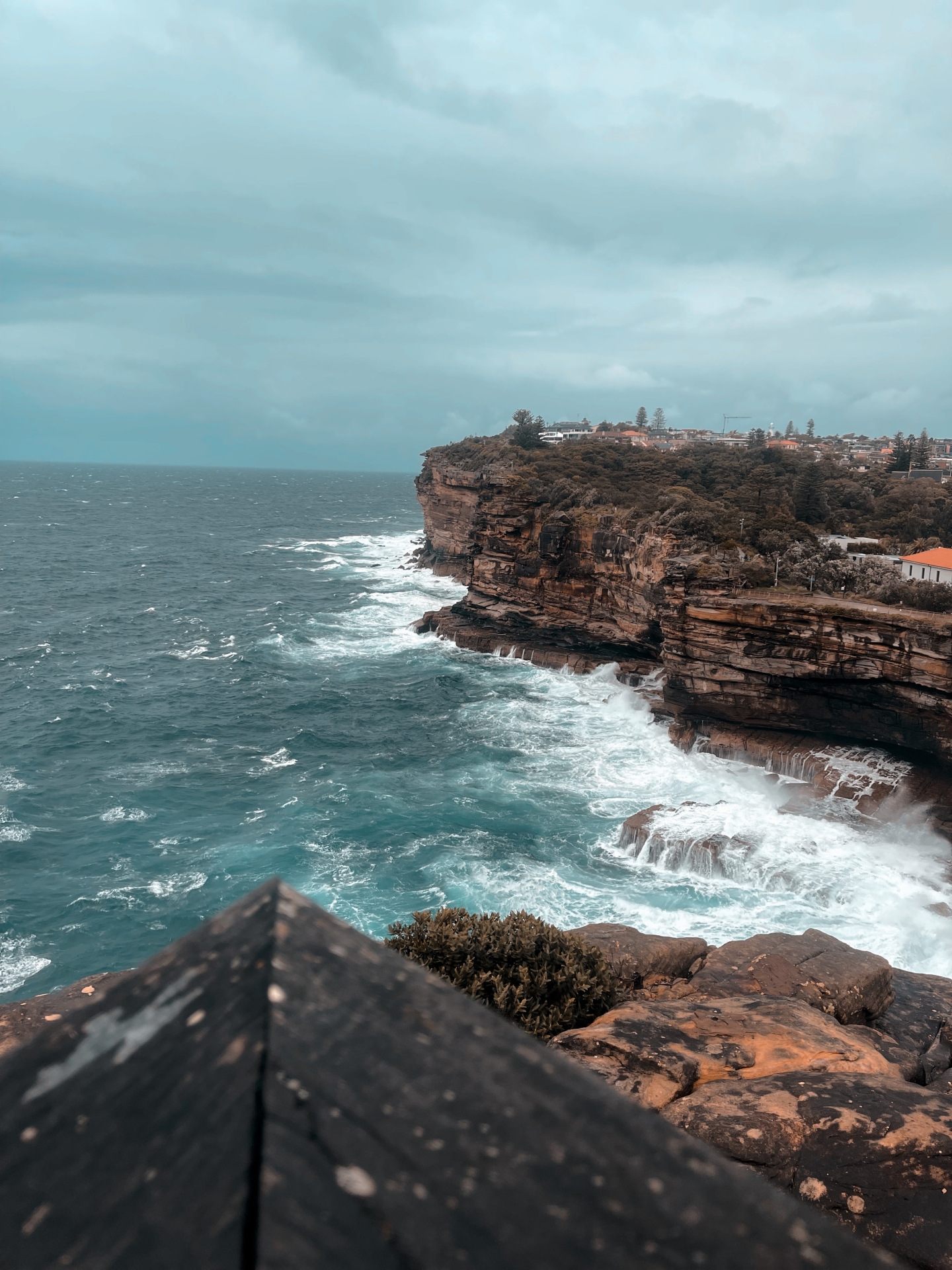Vịnh Sydney, một ng&agrave;y ở Sydney, Wastons Bay c&ugrave;ng Syhun