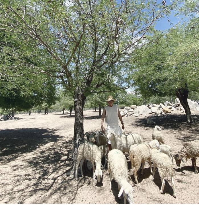 KỸ NĂNG LÀM VIỆC VỚI CẤP TRÊN VÀ HIỂU Ý LÃNH ĐẠO